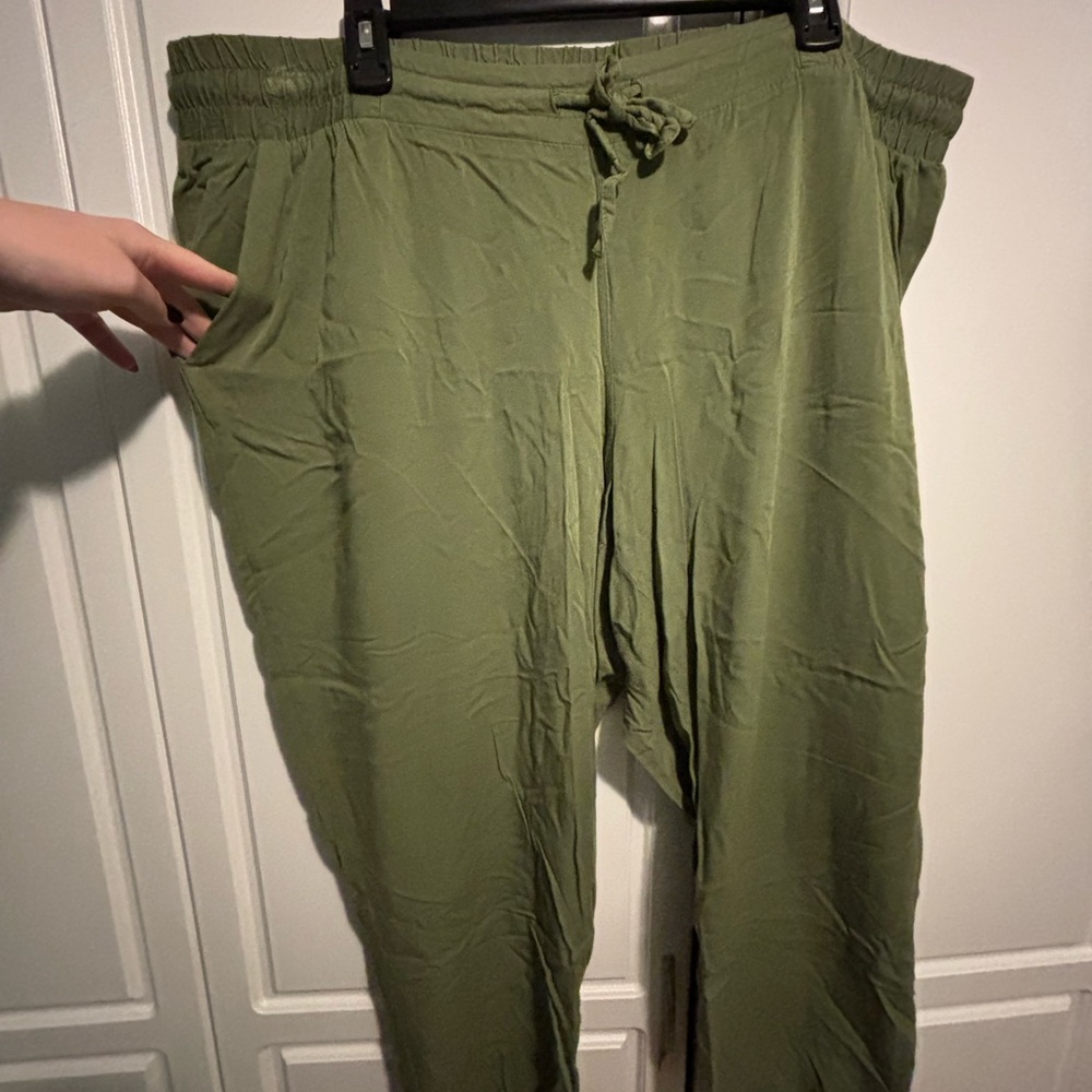 Torrid dress pants